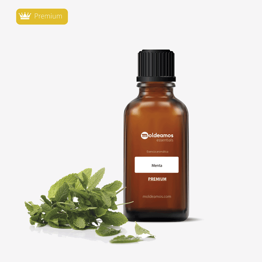 Esencia aromática Menta Jabón